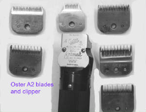 Oster_a2_blades_andclipper.jpg